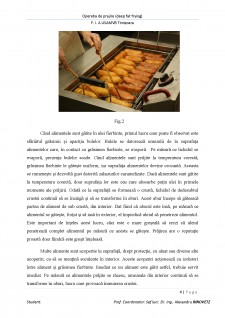 Operația de prăjire (deep fat frying) - Pagina 4