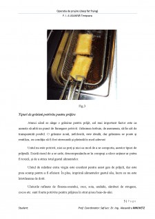 Operația de prăjire (deep fat frying) - Pagina 5