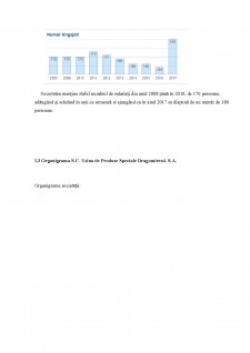 Analiza performanțelor și elaborarea tabloului de bord la SC U.P.S Dragomirești SA - Pagina 4
