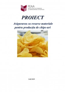 Asigurarea cu resurse materiale pentru producția de chipsuri - Pagina 1