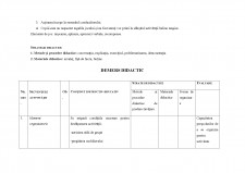 Proiect didactic - Consolidarea deprinderii de a plasa obiecte într-un spațiu dat - Pagina 2