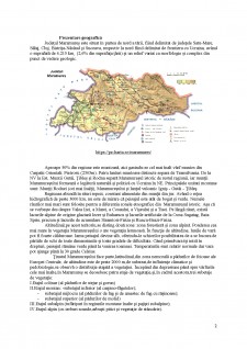 Evaluarea potențialului turistic în Maramureș - Pagina 2