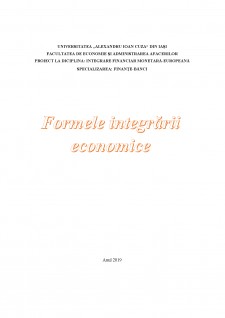 Formele integrării economice - Pagina 1