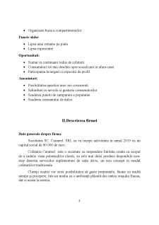 Plan de afaceri Cofetăria Caramel - Pagina 5