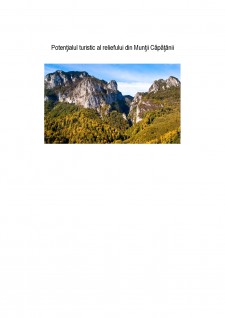 Potențialul turistic al reliefului Munților Căpățânii - Pagina 1