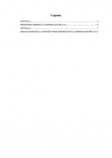 Diagnosticul lichidității și solvabilității a companiei Electrica SA - Pagina 2