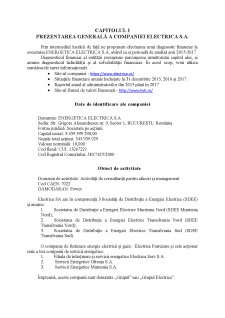 Diagnosticul lichidității și solvabilității a companiei Electrica SA - Pagina 3