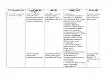 Plan de îngrijire - astm bronsic - Pagina 2