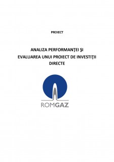 Analiza performanței și evaluarea unui proiect de investiții directe - Romgaz - Pagina 1