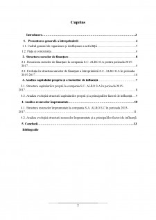 Analiza surselor de finanțare ale întreprinderii SC Alro SA - Pagina 2