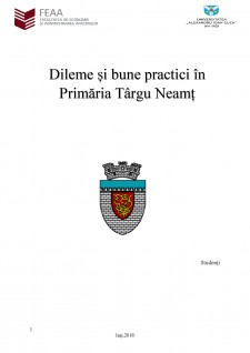 Dileme și bune practici în Primăria Târgu Neamț - Pagina 1