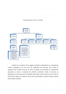 Management la stațiunea de cercetare-dezvoltare pentru viticultură și vinificație Bujoru - Pagina 5