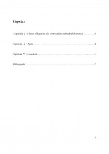 Clauze obligatorii ale contractului individual de munca - Pagina 2