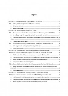 Analiza structurii activului unei întreprinderi SC Compa SA - Pagina 2