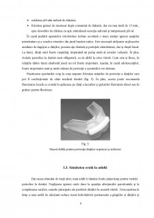 Studiu privind metodele de igienizare orală în rândul pacienților cu lucrări protetice - Pagina 5