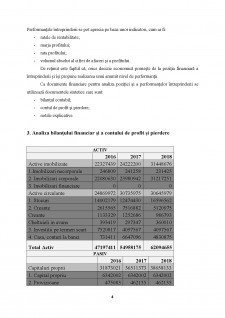 Analiza financiară Avicola SA - Pagina 4