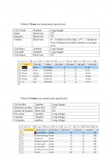 Sistem informatic pentru evidența activității de comert de la firma UnderBox - Pagina 5