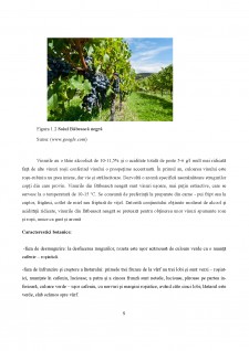 Procesele de producție în industria alimentară - Vinul - Pagina 3