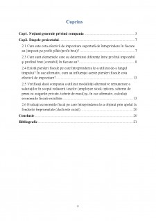 Fiscalitate și strategii de afaceri - Transelectrica SA - Pagina 2