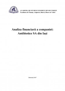 Analiza financiară a companiei - Antibiotice SA din Iași - Pagina 1