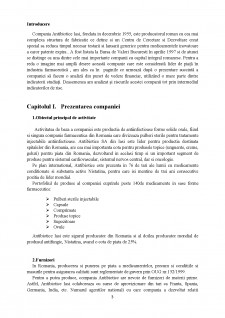 Analiza financiară a companiei - Antibiotice SA din Iași - Pagina 3