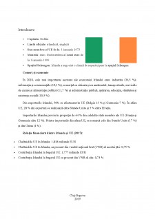 Analiza bugetului Irlandei - Pagina 4