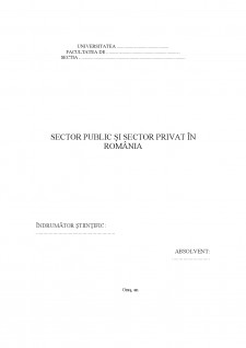 Sector public și sector privat în România - Pagina 2