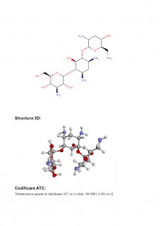 Portofoliu chimia medicamentului - Tobramicina - Pagina 2