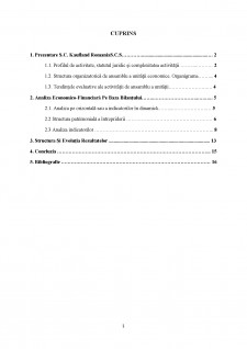 Analiza financiară Kaufland - Pagina 1