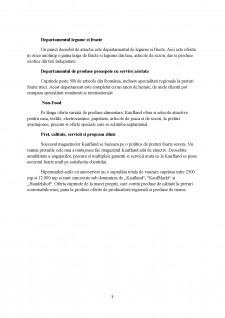 Analiza financiară Kaufland - Pagina 3