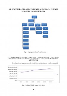Analiza financiară Kaufland - Pagina 4