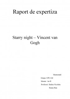 Raport de autentificare și clasare - Starry night de Vincent van Gogh - Pagina 1