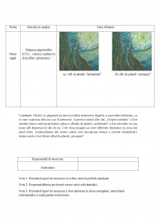 Raport de autentificare și clasare - Starry night de Vincent van Gogh - Pagina 4