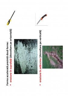 Ameliorații silvice - Pagina 11