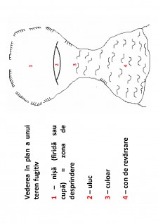 Ameliorații silvice - Pagina 54