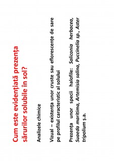 Ameliorații silvice - Pagina 63