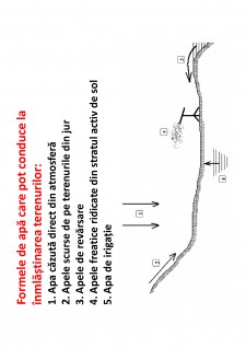 Ameliorații silvice - Pagina 73