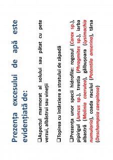 Ameliorații silvice - Pagina 76