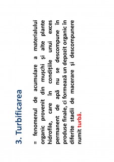 Ameliorații silvice - Pagina 82