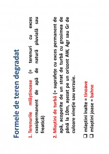 Ameliorații silvice - Pagina 83