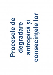 Ameliorații silvice - Pagina 85