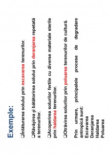 Ameliorații silvice - Pagina 87