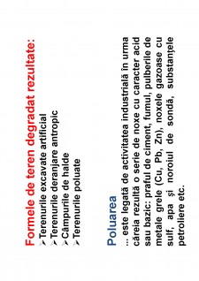 Ameliorații silvice - Pagina 88