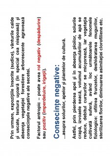 Ameliorații silvice - Pagina 93