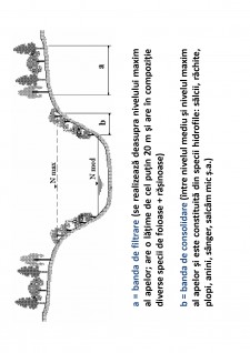 Ameliorații silvice - Pagina 118