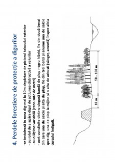 Ameliorații silvice - Pagina 120