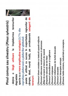 Ameliorații silvice - Pagina 124