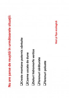 Ameliorații silvice - Pagina 125