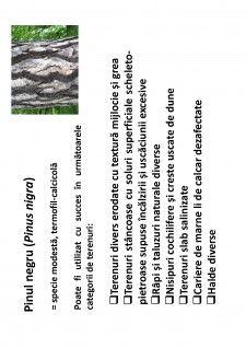 Ameliorații silvice - Pagina 126