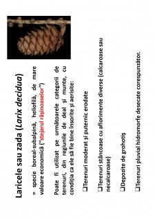 Ameliorații silvice - Pagina 128